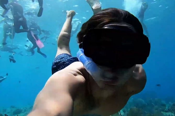 VIP Private Glass Bottom Boat and Snorkeling, 3 Reefs in Cozumel - Price and value at $175 per person