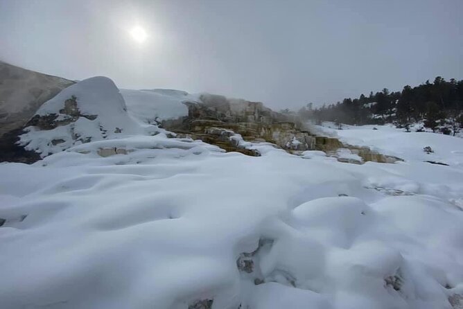 VIP Private North Yellowstone National Park Winter Excursion - Paradise Valley brings the day into focus