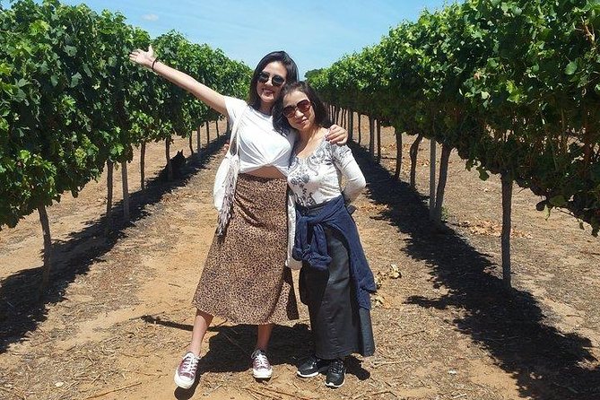 VIP Swan Valley Wine Tour - Premium Small Group Wine & Gourmet Experience - What makes this Swan Valley tour worth considering