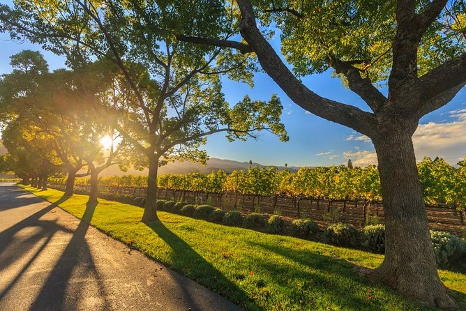 VIP Swan Valley Wine Tour - Premium Small Group Wine & Gourmet Experience - A small group changes the whole day