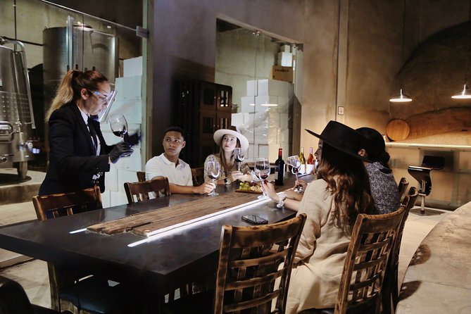 VIP Tasting: Wines from Rondo del Valle in an Underground Cellar - Key points to know before you go