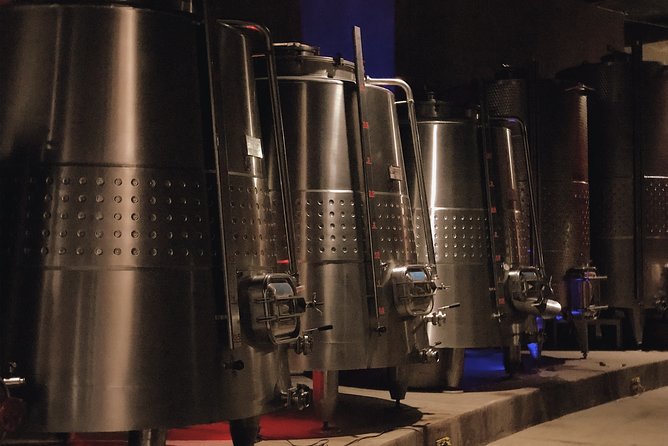 VIP Tasting: Wines from Rondo del Valle in an Underground Cellar - Entering Rondo del Valle’s underground cellar