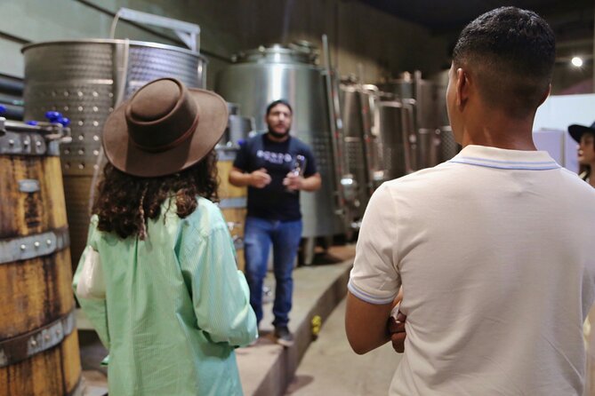 VIP Tasting: Wines from Rondo del Valle in an Underground Cellar - Five wines in a private VIP room