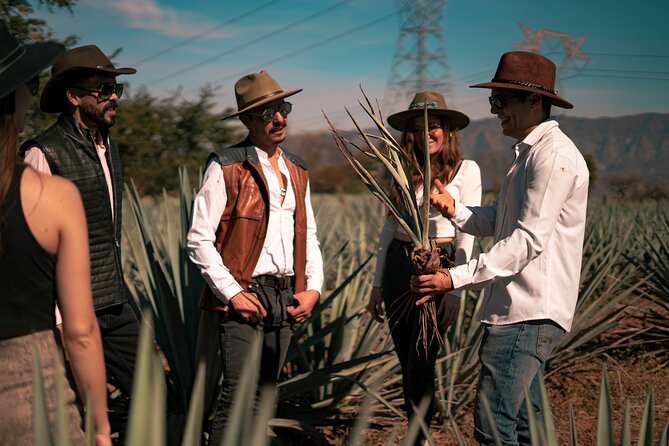 Vip Tequila Experience - Lunch in Tequila town