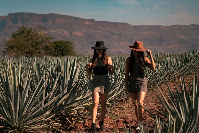 Vip Tequila Experience - How personal is the VIP service?
