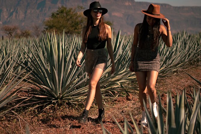 VIP Tequila Night Tour with Dinner and Tasting - Cava de Oro: the heart of the experience