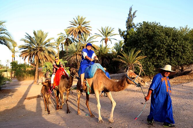 VIP tour Casablanca to Marrakech: Luxury Day of History & Culture - Souk Semmarine, where the pace changes