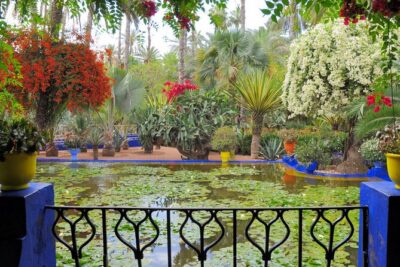 VIP tour Casablanca to Marrakech: Luxury Day of History & Culture
