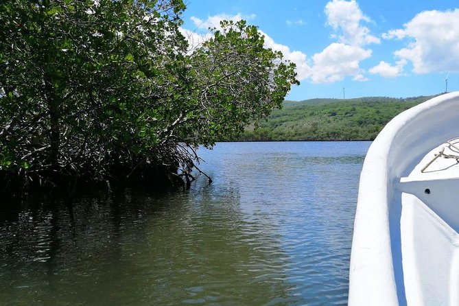 VIP tour to Paradise Island & The Mangroves - Group size, guide service, and the VIP label