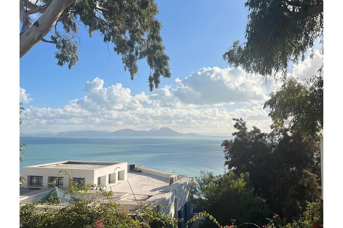 VIP Tour: Tunis Medina/Bardo, Sidi Bou Said, Carthage |PICKUP ALL - The long run from Sousse to Tunis