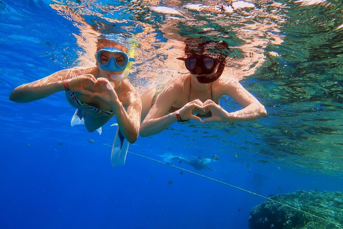 VIP -White Island & Ras Mohamed Snorkel Excursion - A seven-hour Red Sea day from Sharm el Sheikh