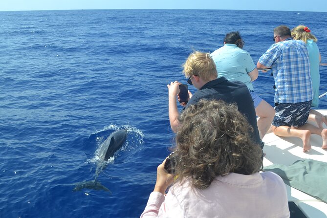 VipDolphins Luxury Whale Watching - Snacks, champagne, and the VIP touch