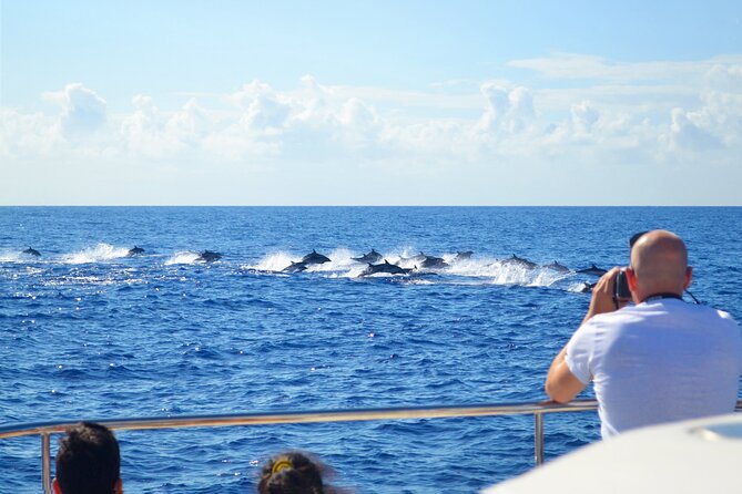 VipDolphins Luxury Whale Watching - Cabo Girao brings a welcome change of pace