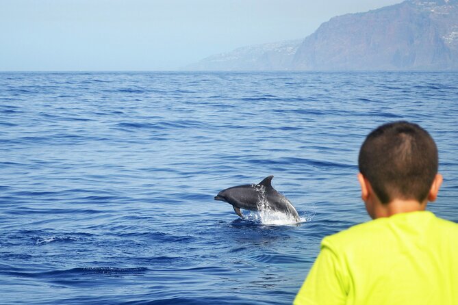 VipDolphins Luxury Whale Watching - The ride can be smooth, or surprisingly rough