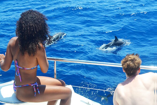 VipDolphins Luxury Whale Watching - Leaving Praça do Povo for the Atlantic