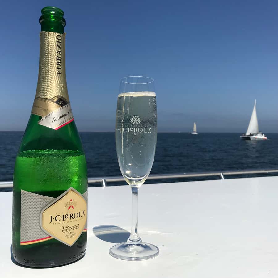 Walvis Bay: Marine Big 5 Luxury Catamaran Tour - The guides make the quiet stretches worthwhile