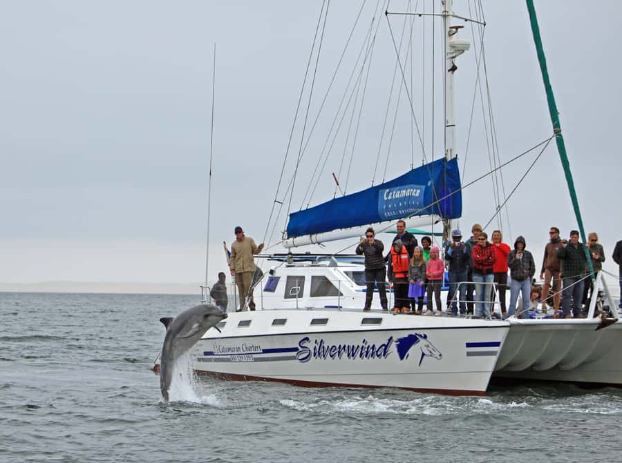 Walvis Bay: Marine Big 5 Luxury Catamaran Tour - Passing ships, oil rigs, and the return to the waterfront