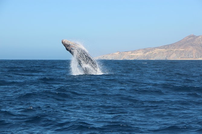 Whale Watching in Cabo San Lucas on board our Luxury Trimaran! - The route through Cabo Bay and past Land’s End