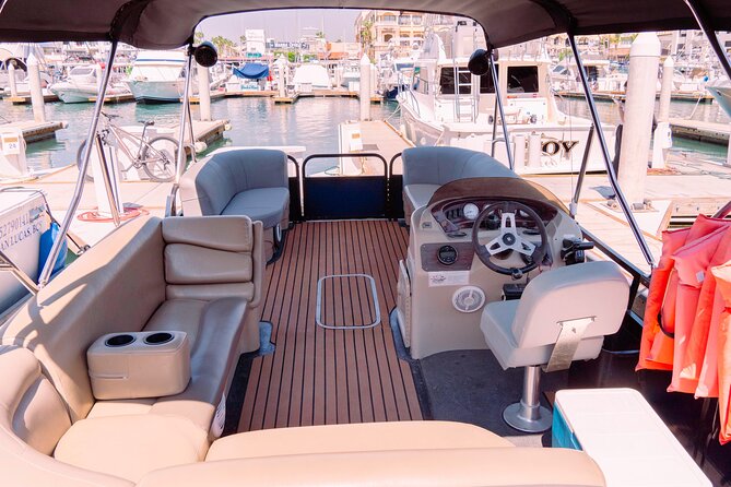 Whale Watching in Cabo San Lucas on board our Luxury Trimaran! - What you may see during the two hours