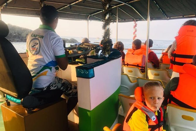 Whales and Dolphins Watching-Luxury Super Grade Cruiser(Hotel Pick up offered) - Wildlife sightings and responsible watching