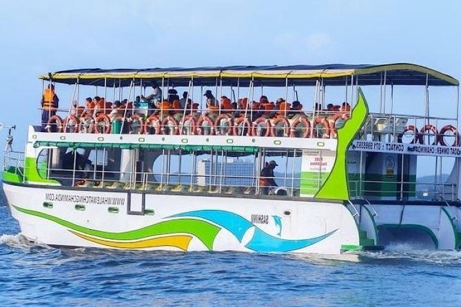 Whales and Dolphins Watching-Luxury Super Grade Cruiser(Hotel Pick up offered) - The cruiser, seating, and onboard comfort