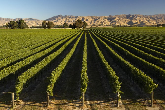 Wine trail and Christchurch City - Luxury, Small Group Tour - Christchurch after the earthquakes