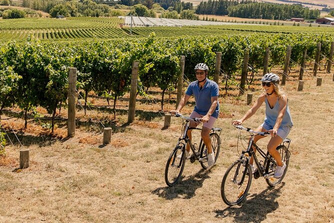 Wine trail and Christchurch City - Luxury, Small Group Tour - She Chocolate and a sweet finish