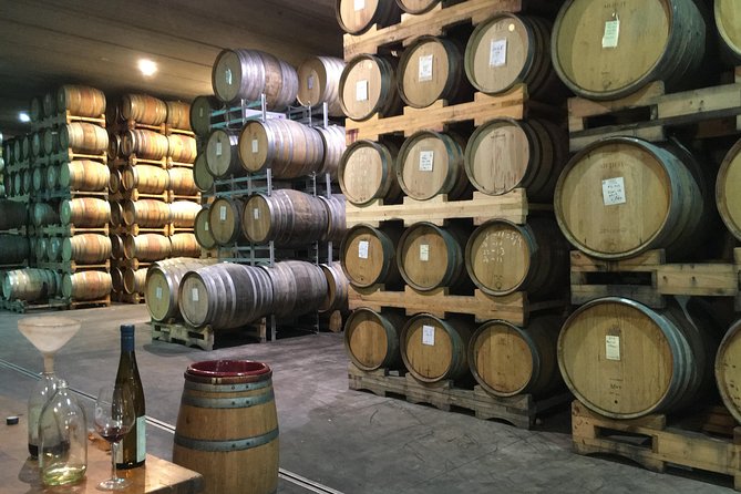 Wine trail and Christchurch City - Luxury, Small Group Tour - Who should book this tour?