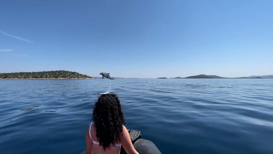 Zadar: Island Luxury Speedboat Tour with Snorkeling - Setting Out From Foša