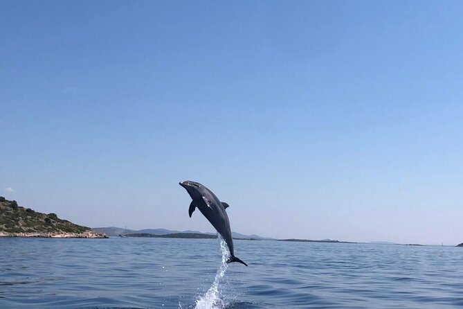 Zadar: Island Luxury Speedboat Tour with Snorkeling - Who will enjoy this tour most