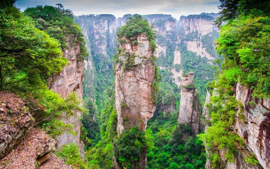 Zhangjiajie: VIP Zhangjiajie National Forest Park Day Tour - Why VIP access matters in Zhangjiajie