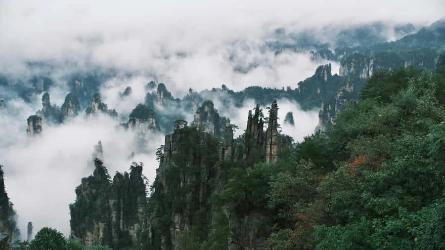 Zhangjiajie: VIP Zhangjiajie National Forest Park Day Tour - What the $199 price buys you