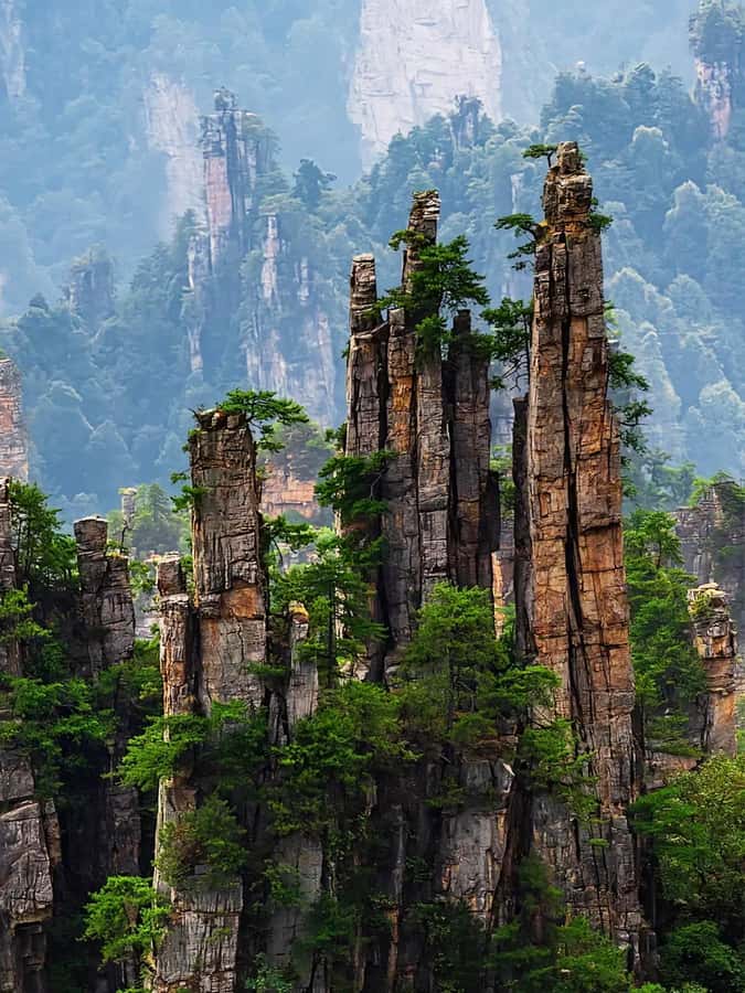 Zhangjiajie: VIP Zhangjiajie National Forest Park Day Tour - Guides make or break the day
